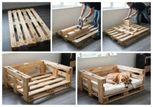 Etapy budowy legowiska dla psa z europalety: od przygotowania podstawy, przez montaż ścianek, po gotowe posłanie z psem.